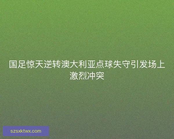 国足惊天逆转澳大利亚点球失守引发场上激烈冲突