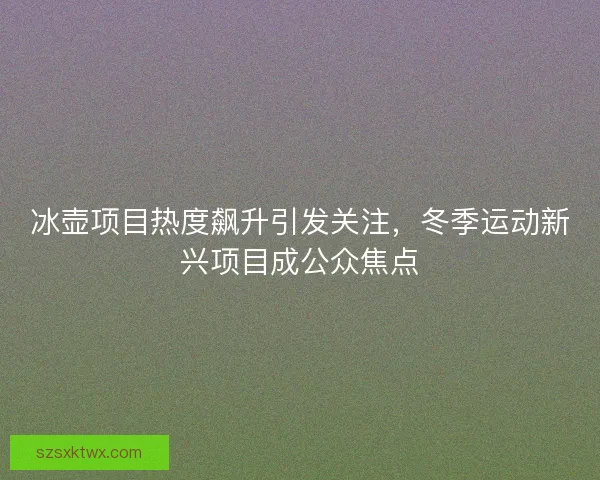 冰壶项目热度飙升引发关注，冬季运动新兴项目成公众焦点